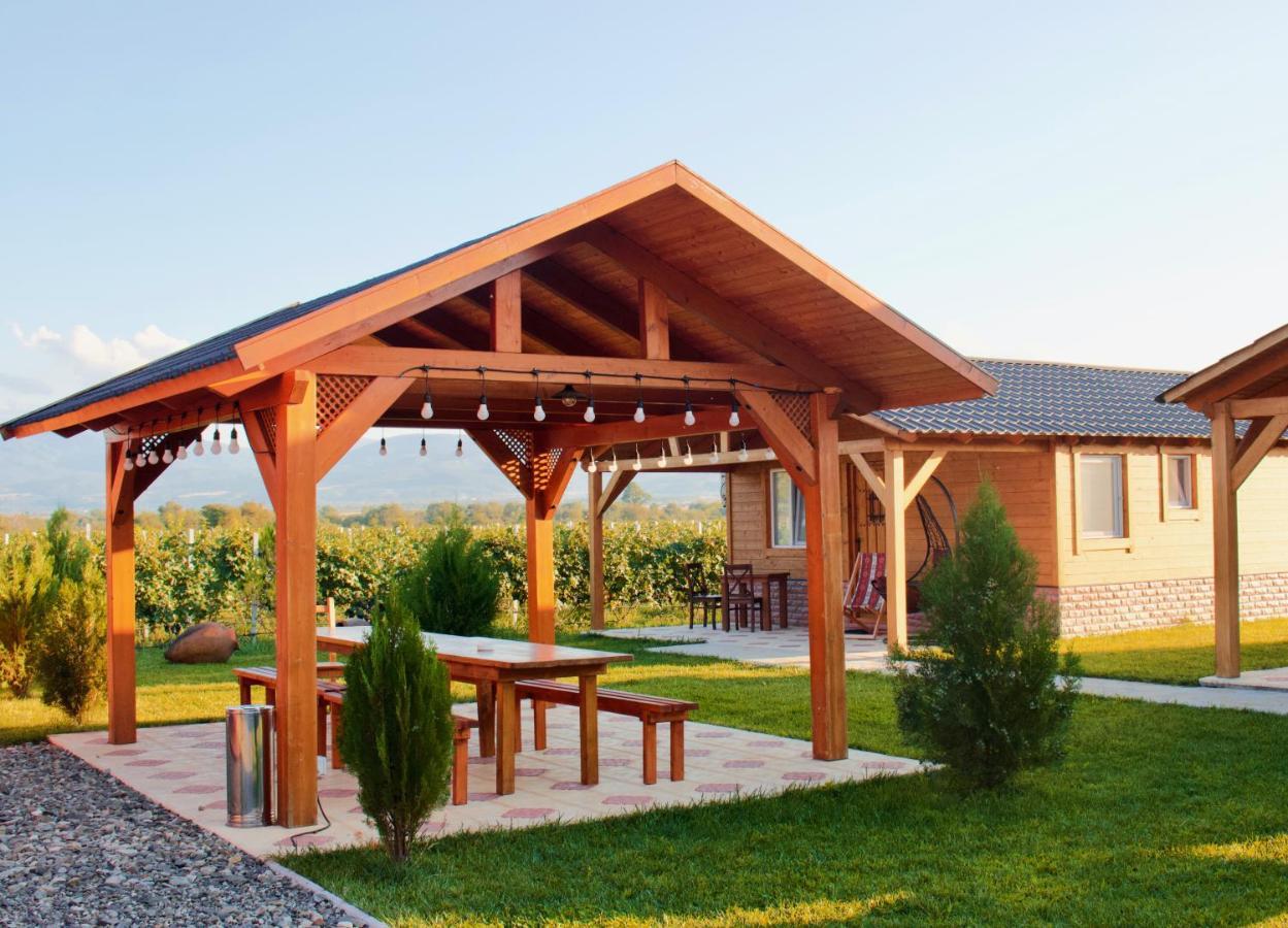 Finca Idoize Camping Hotel Akhmeta Ngoại thất bức ảnh