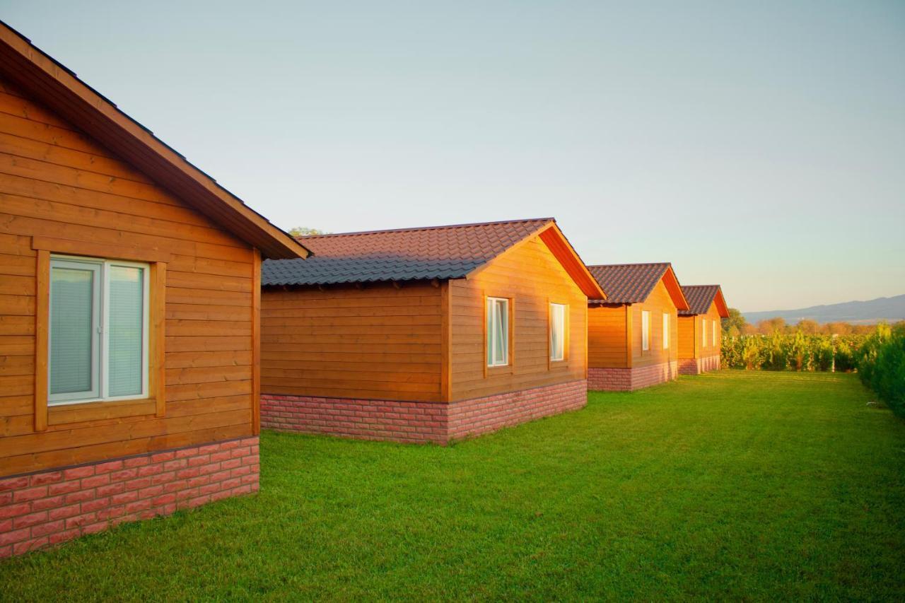 Finca Idoize Camping Hotel Akhmeta Ngoại thất bức ảnh