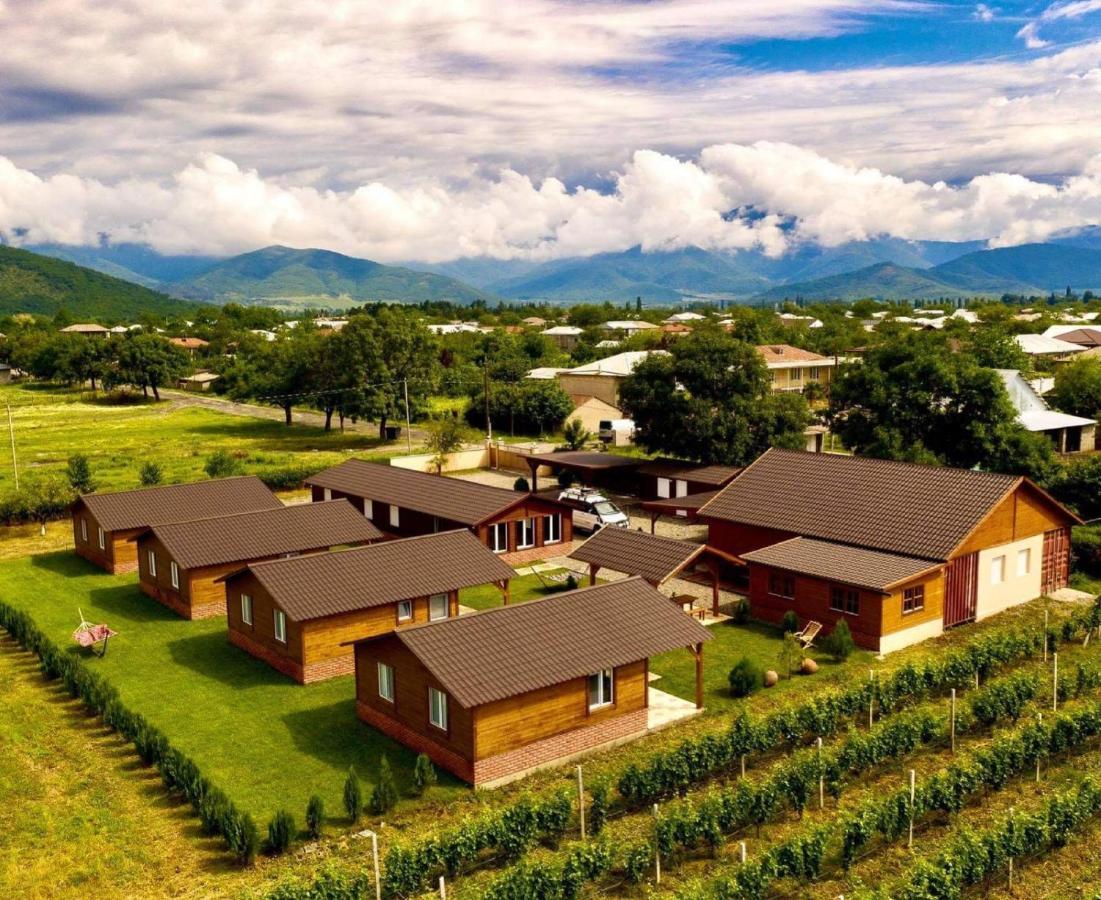 Finca Idoize Camping Hotel Akhmeta Ngoại thất bức ảnh