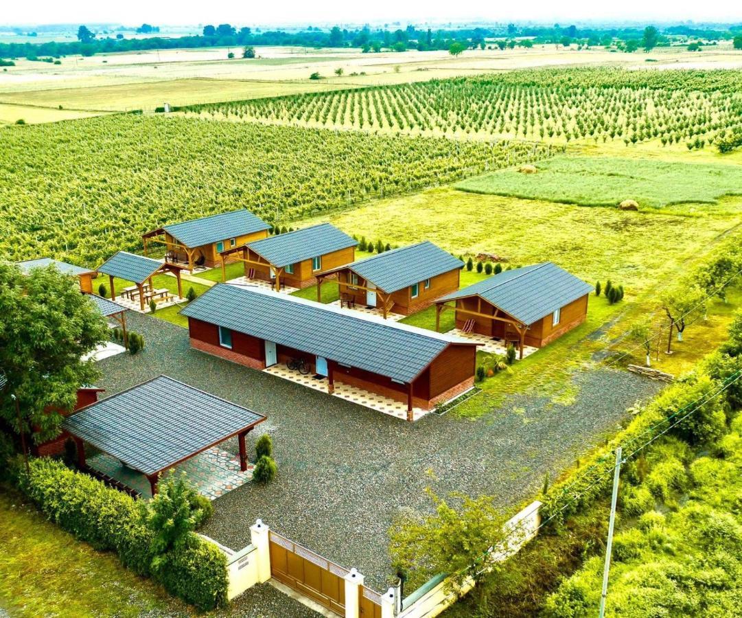 Finca Idoize Camping Hotel Akhmeta Ngoại thất bức ảnh