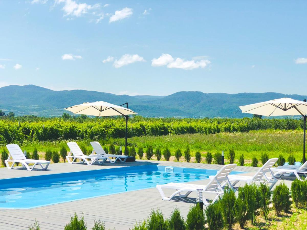 Finca Idoize Camping Hotel Akhmeta Ngoại thất bức ảnh